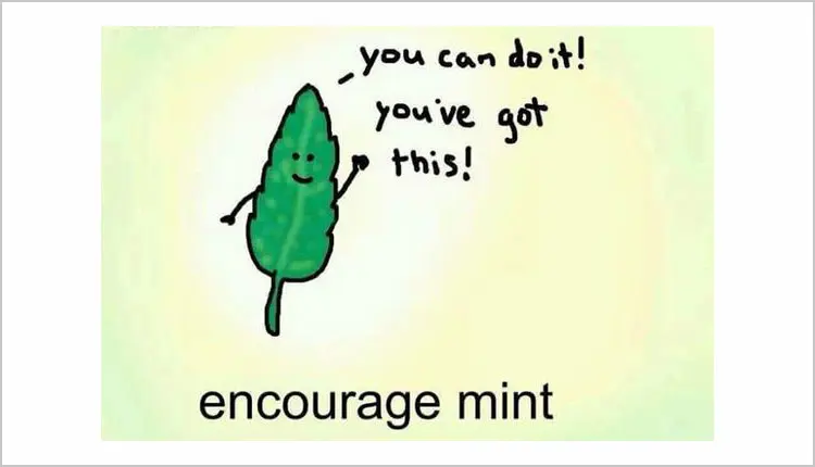 15 Absolutely Pure Wholesome Memes to Make Your Day 2 Beleaf in yourself!