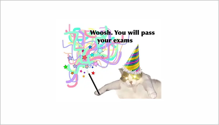 The cat has spoken. The cat trusts in you! The cat has spoken. The cat trusts in you!