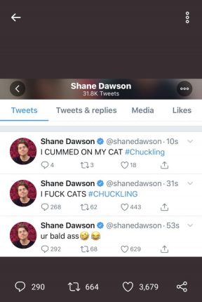 Shane Dawson Hacked Cat Tweet