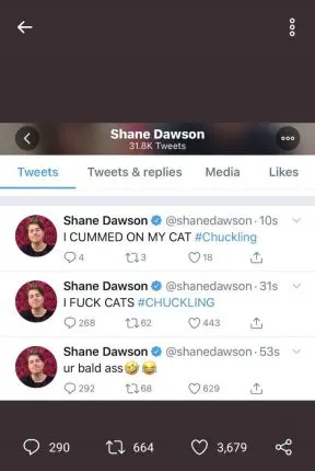 Shane Dawson Twitter Account Was Hacked 1 Shane Dawson Hacked Cat Tweet