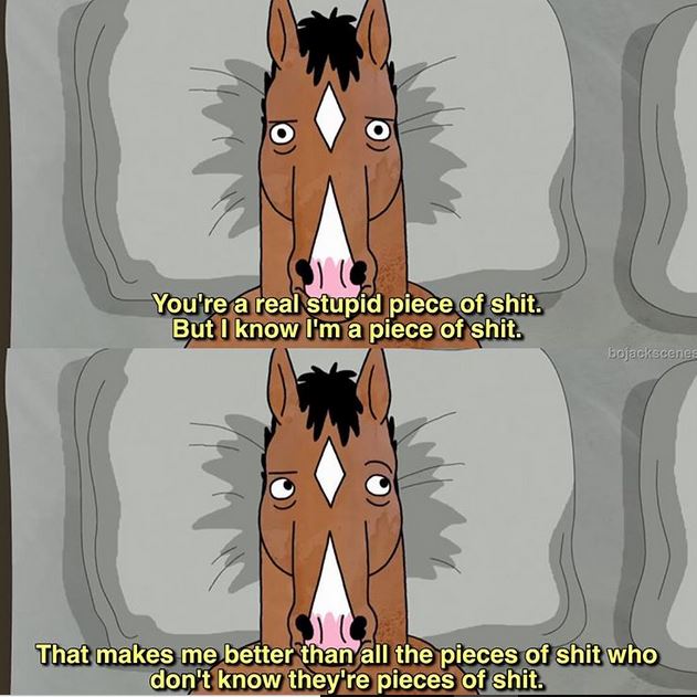 bojack horseman sad 2 Bojack Horseman, Bojack Horseman Quotes