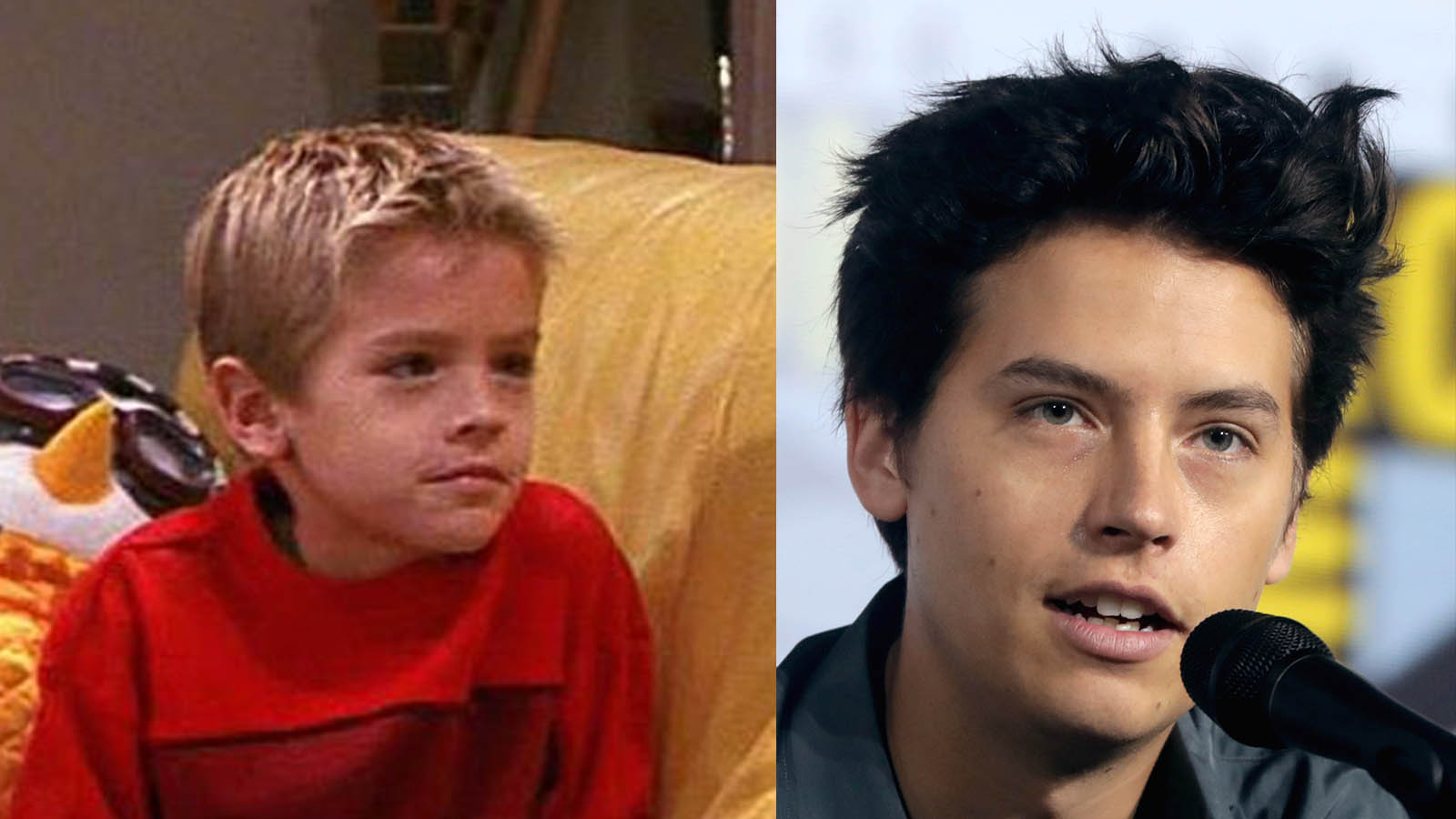 Will Cole Sprouse Star On the 'Friends' Reunion Special?