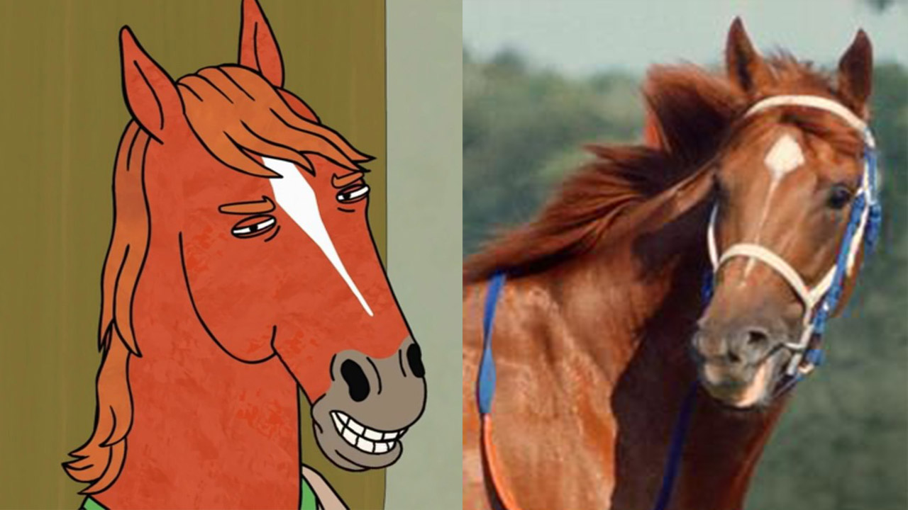 Secretariat in Bojack Horseman Was A Real Life Legendary Race Horse!