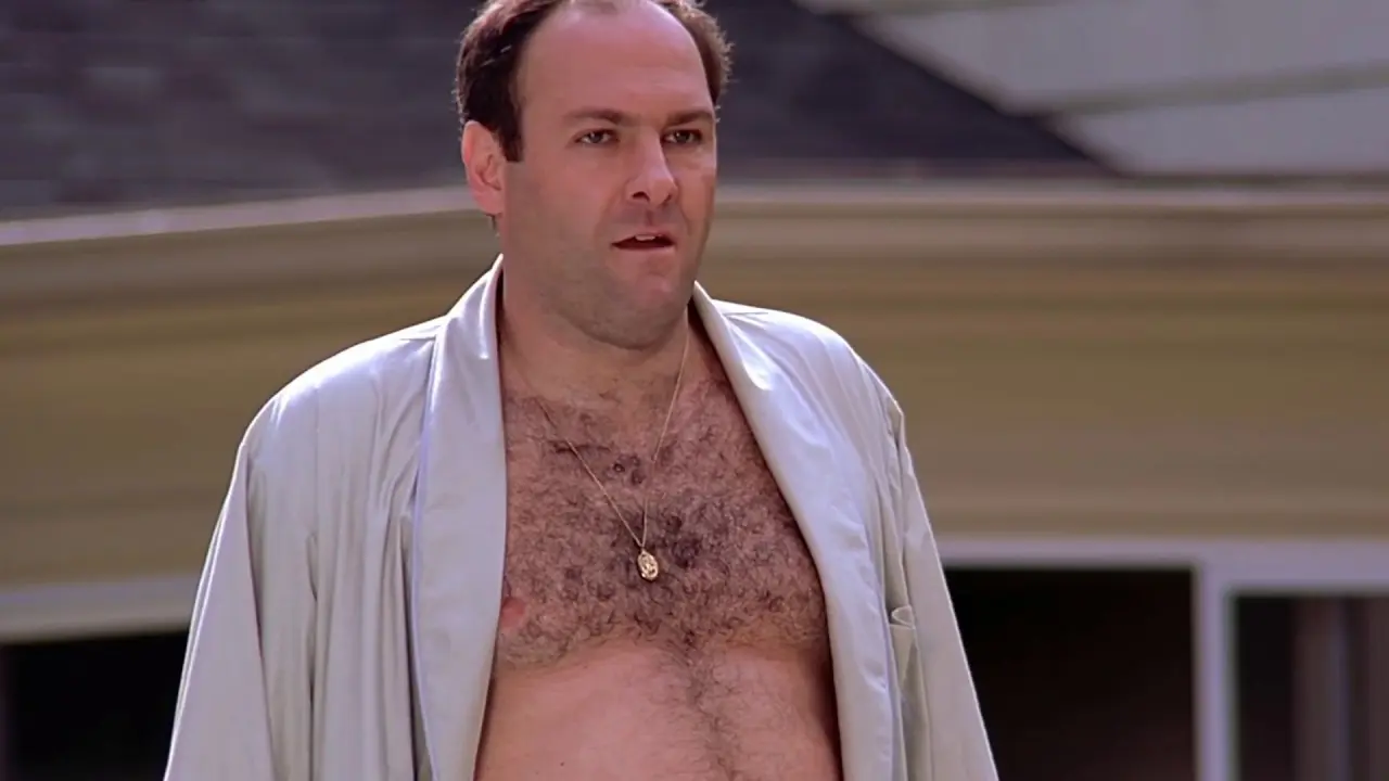 The Sopranos: A revolution that changed TV forever 1 The Sopranos TV