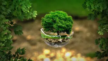 Coronavirus Might Be Saving Our Environment!