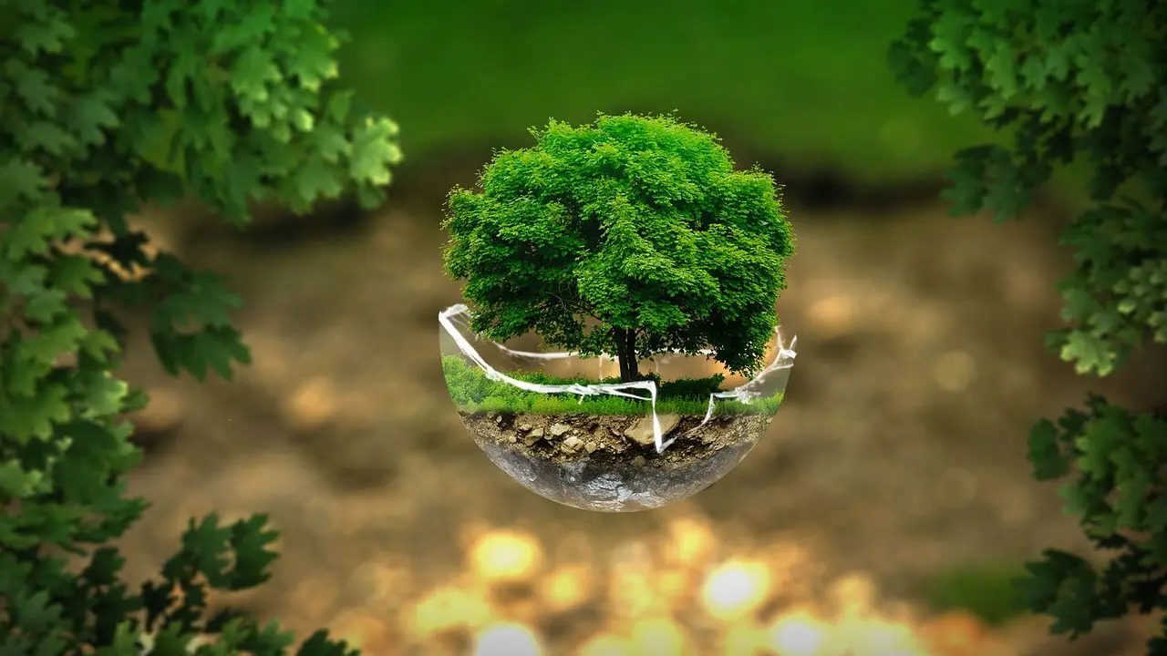 Coronavirus Might Be Saving Our Environment!
