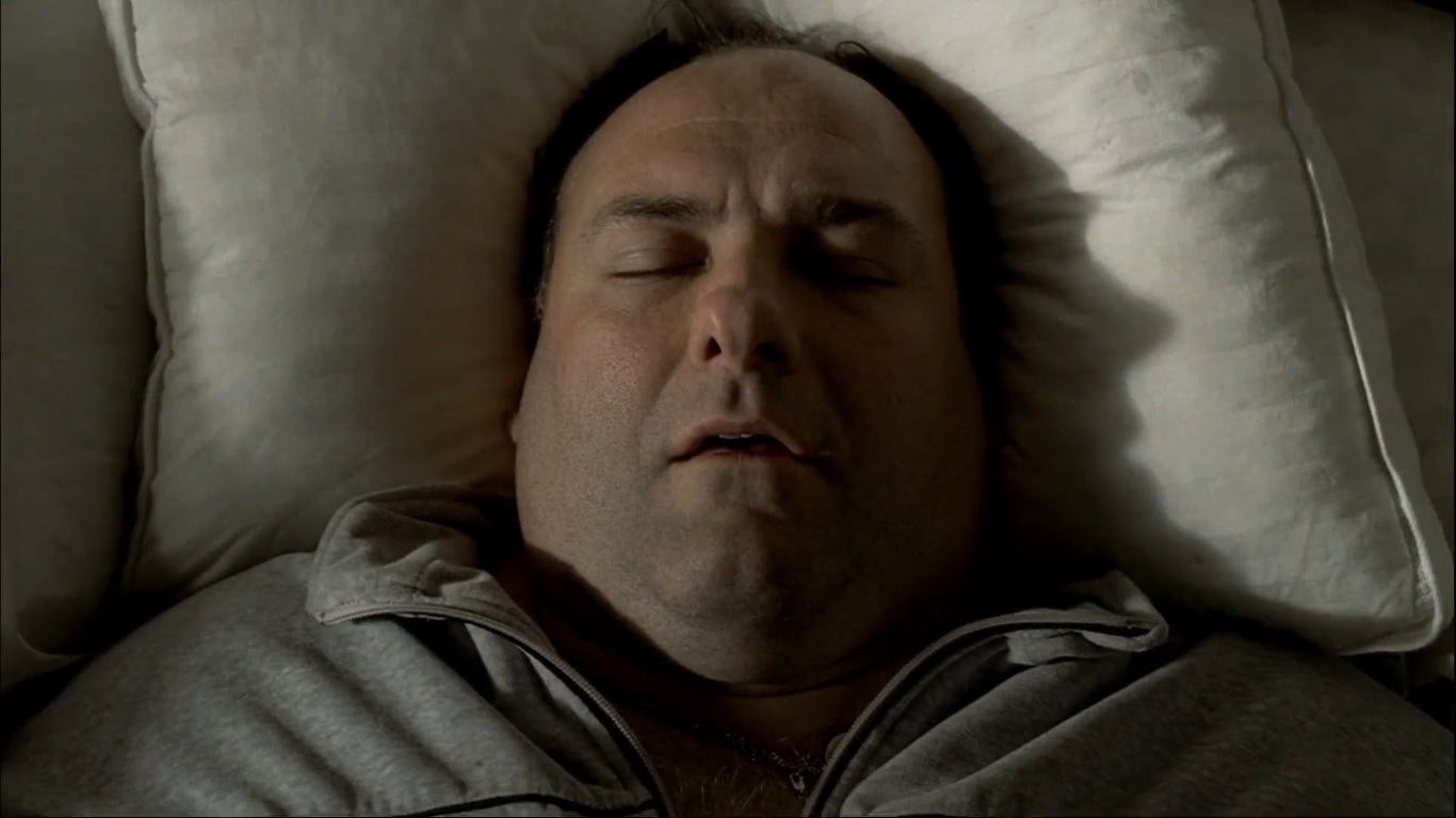 Best Tony Soprano Memes From The Sopranos!