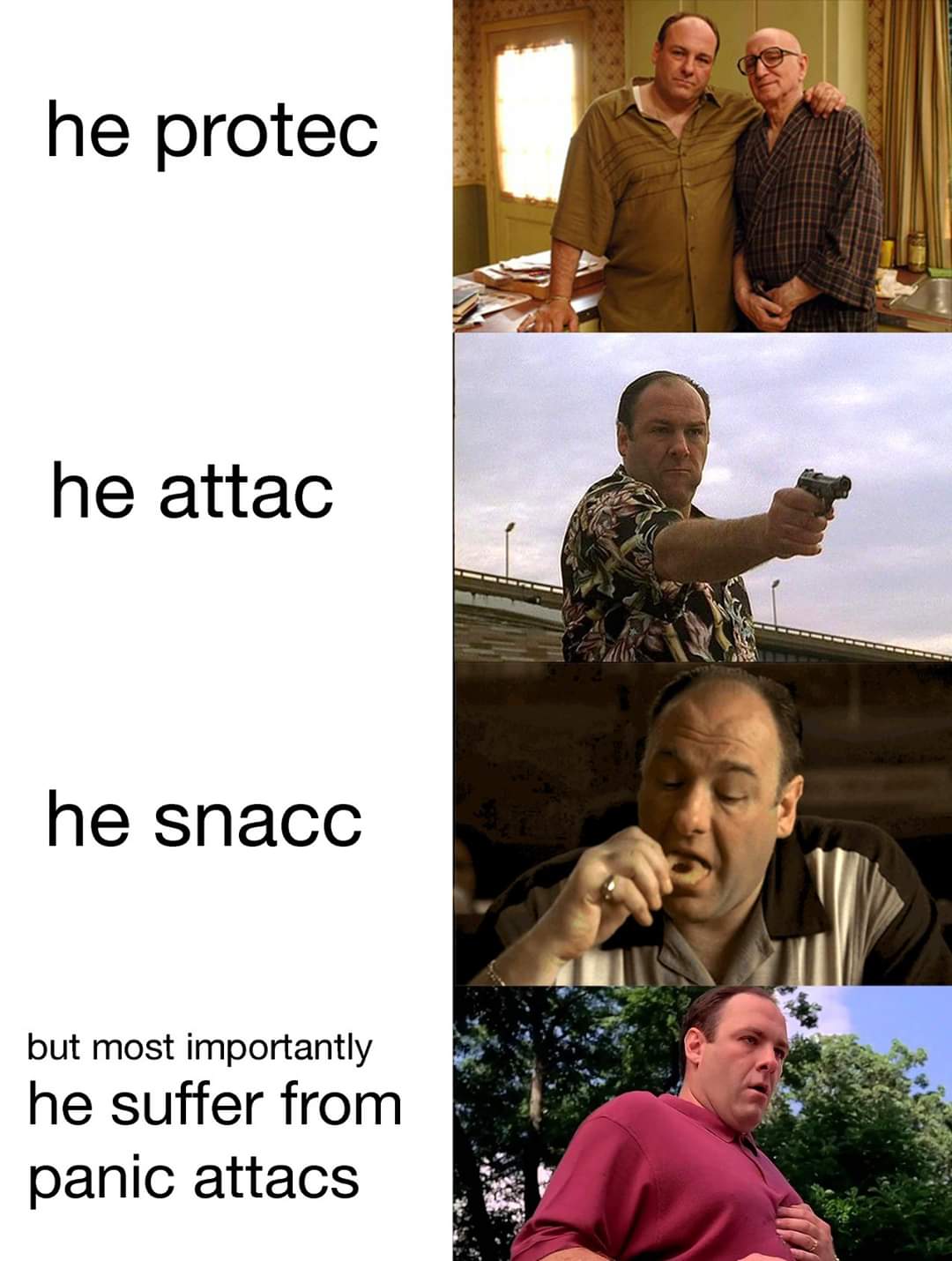 Best tony soprano memes from sopranos