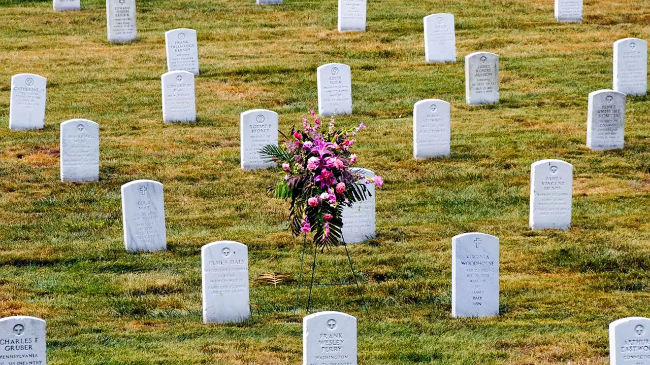 Mass Graves In New York As Coronavirus Death Toll Rises