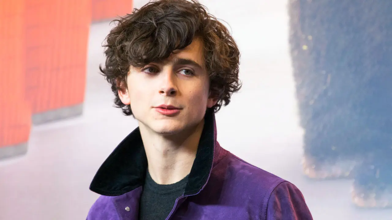 Timothee Chalamet Dance Scene Is Inspiring A TikTok Challenge
