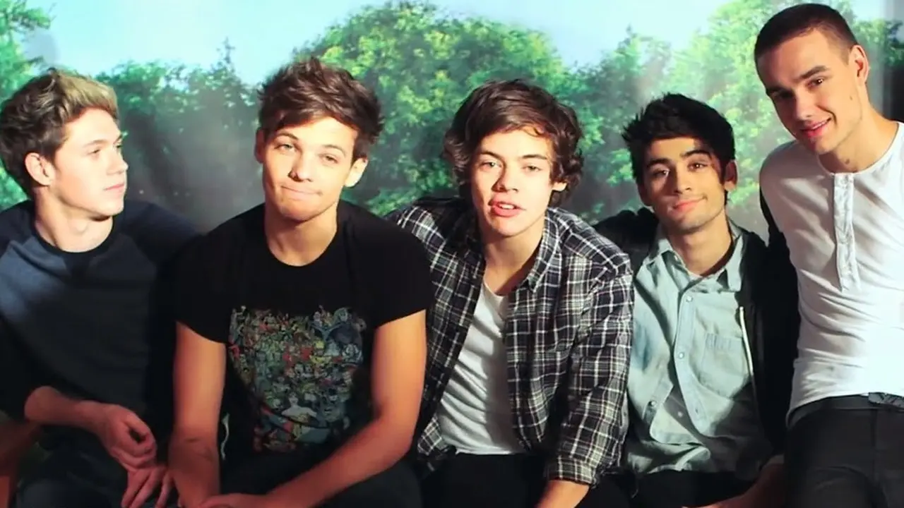 One Direction fans break the Internet - Happy 1D Day!