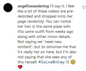 Britney Spears fans call out Sam Asghari for using a body double 1 Britney Spears