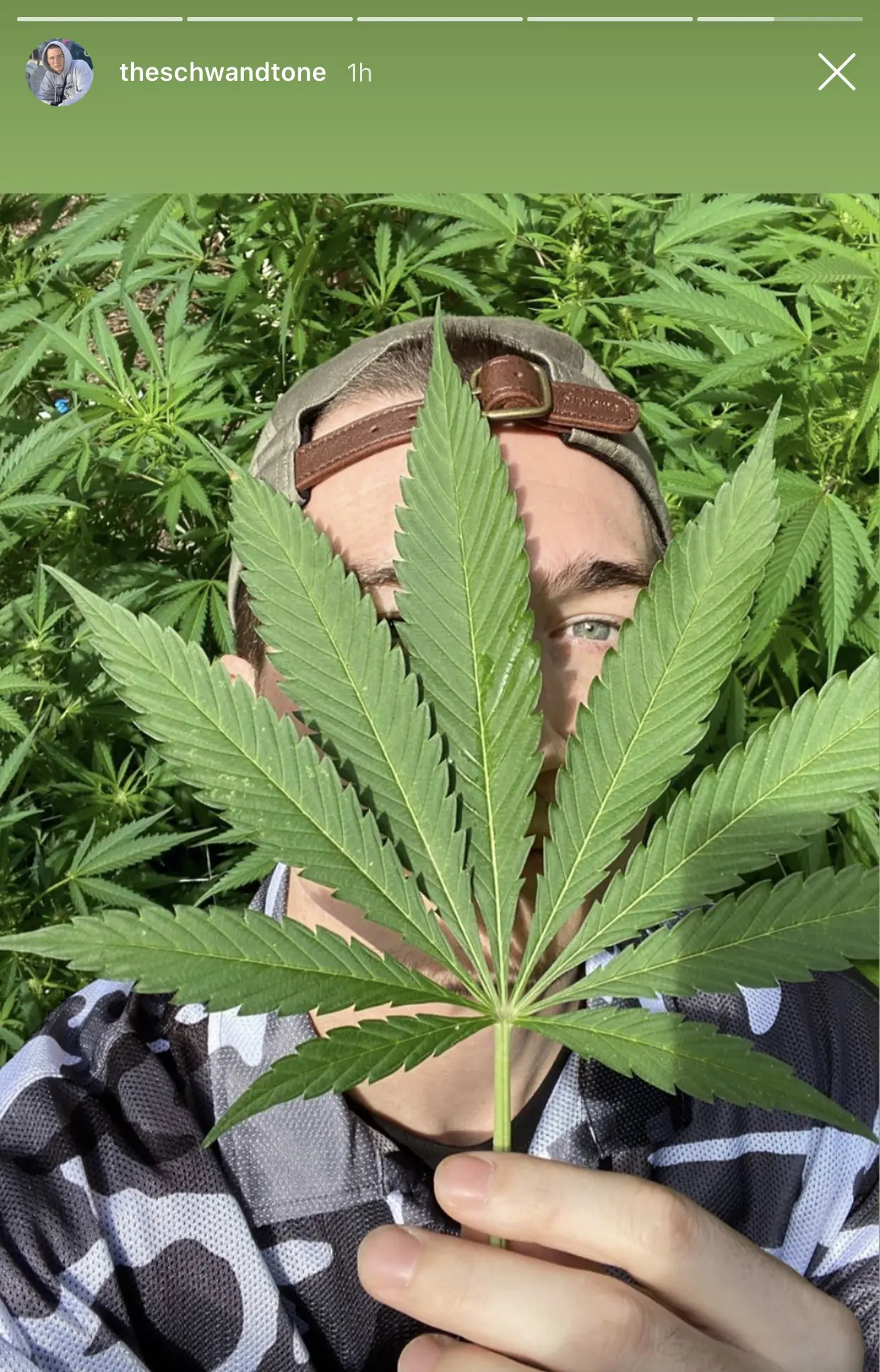 Nathan Schwandt always around weed plants post break-up with Jeffree Star 1 Dayumn!!