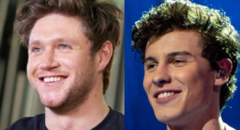 Niall Horan Jealous Over Shawn Mendes Bonding With Greg James?