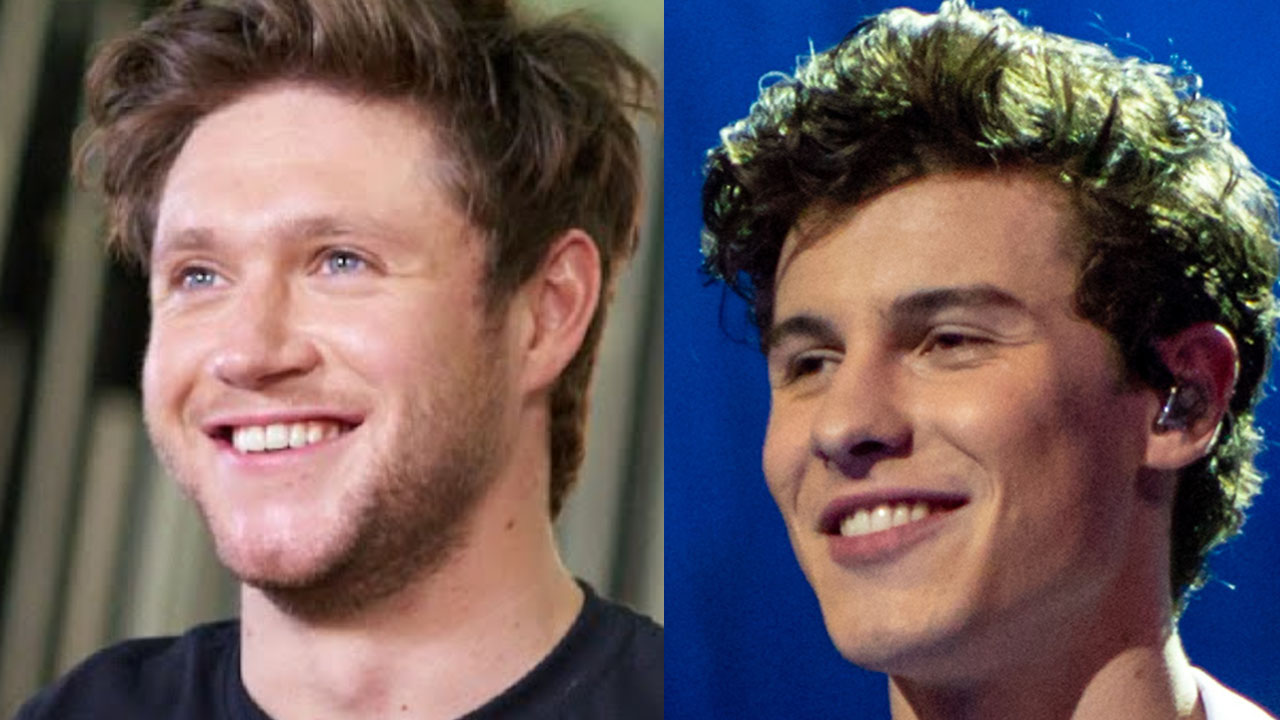 Niall Horan Jealous Over Shawn Mendes Bonding With Greg James?