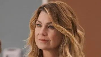 Grey's Anatomy May End With Season 17
