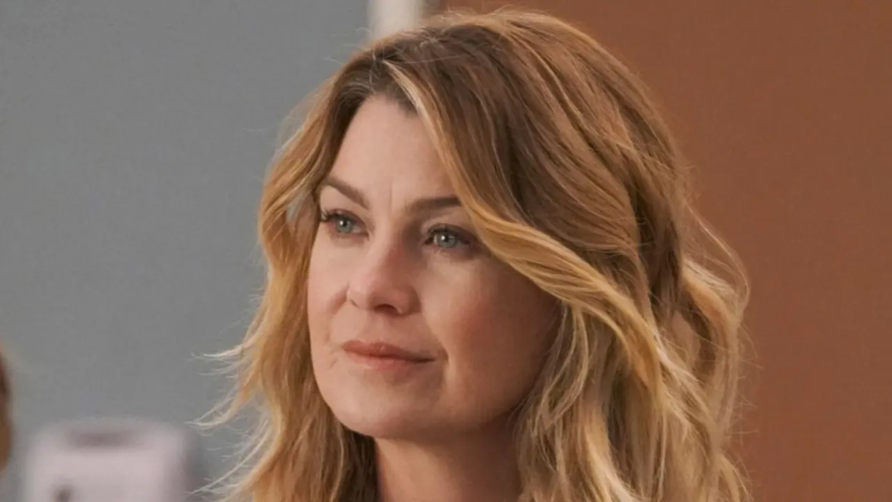 Grey's Anatomy May End With Season 17